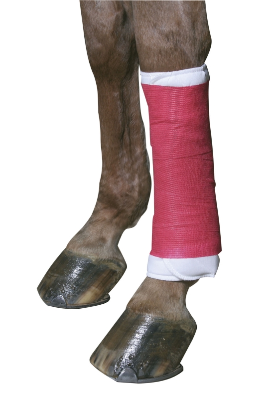 Cohesive bandage EquiLastic 10cm x 4,5m, red 84129_mood01_1694+1.jpg