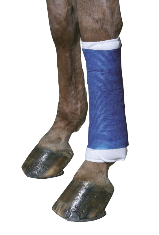 Cohesive bandage EquiLastic 10cm x 4,5m, blue 84137_add01_1695+1.jpg