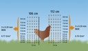 Poultry Netting 50 m, 106 cm Single Prong, green, no Curr. 140387_illu_292204+50.jpg