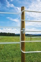 Fence gate 1-1,7 m, adjustable height: 110 cm, galvanized 88000_mood01_44891+5.jpg