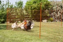Poultry Netting 50 m., 106cm Double Prong,orange, el. cond. 123597_mood_292204+21.jpg