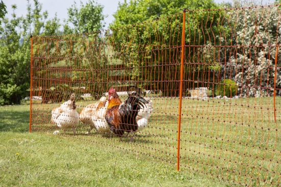 Poultry Netting 50 m., 106cm Double Prong,orange, el. cond. 123597_mood01_292204+21.jpg