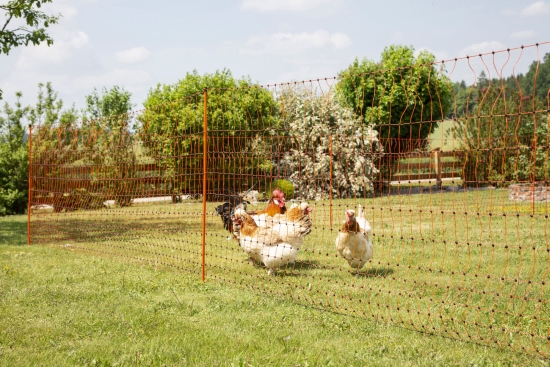 Poultry Netting 50 m., 106cm Double Prong,orange, el. cond. 123596_mood01_292204+20.jpg