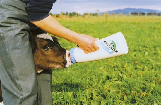 Speedy Feeder, calf feeding bottle, 2,5 l 83146_mood01_1422+1.jpg