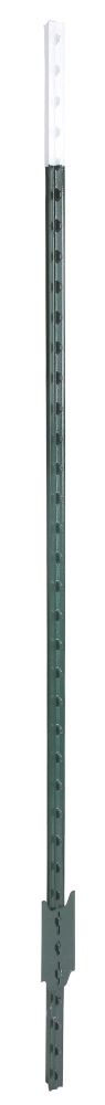 T-paal, 167cm, groen gelakt