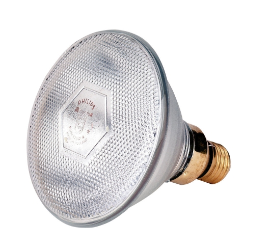 Spaarlamp Philips 100W 240 V, helder